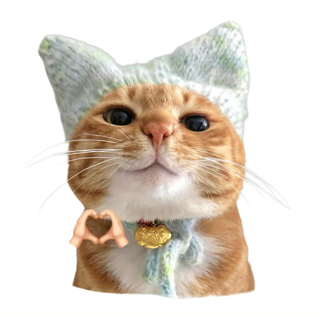 小伴鱼