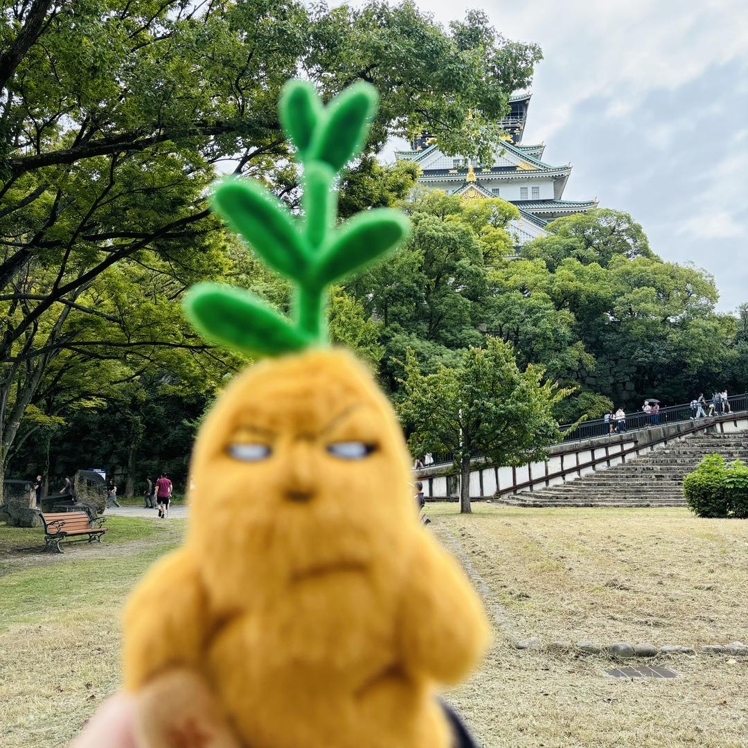 下一站尼罗河畔