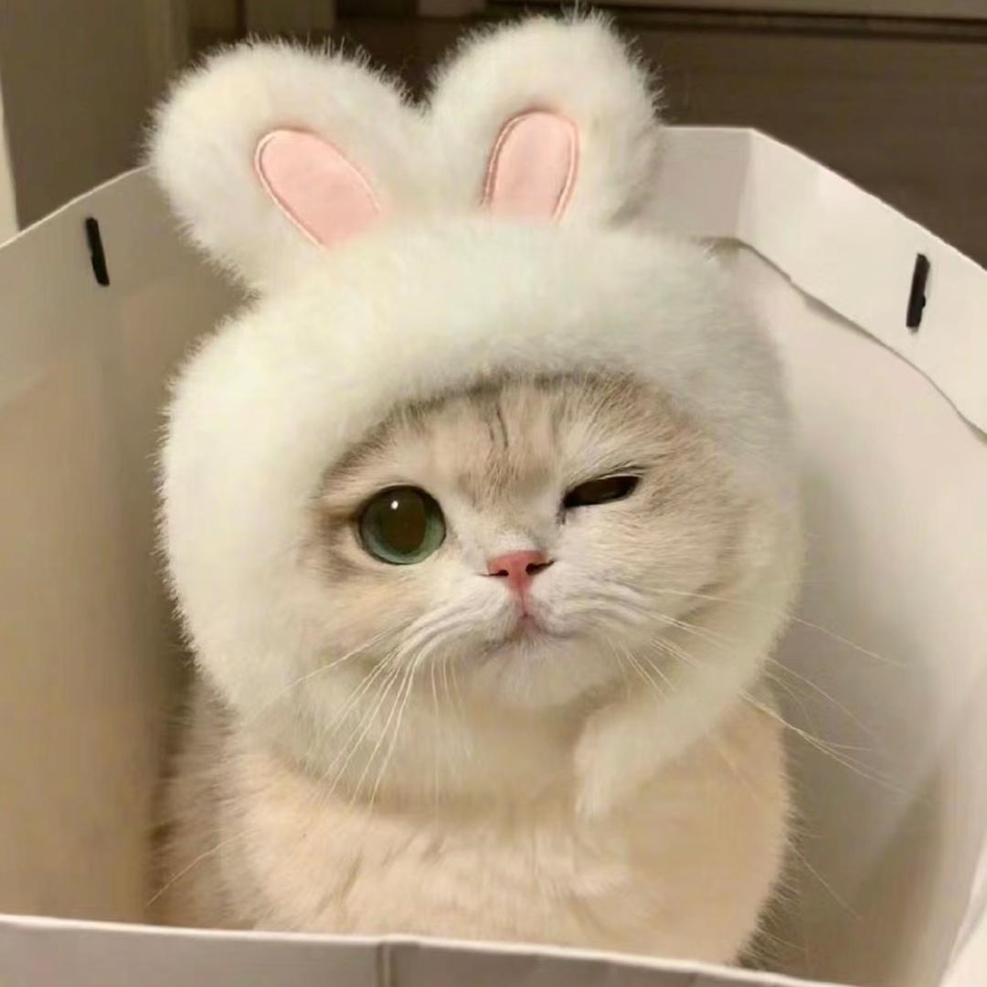 七七七七子