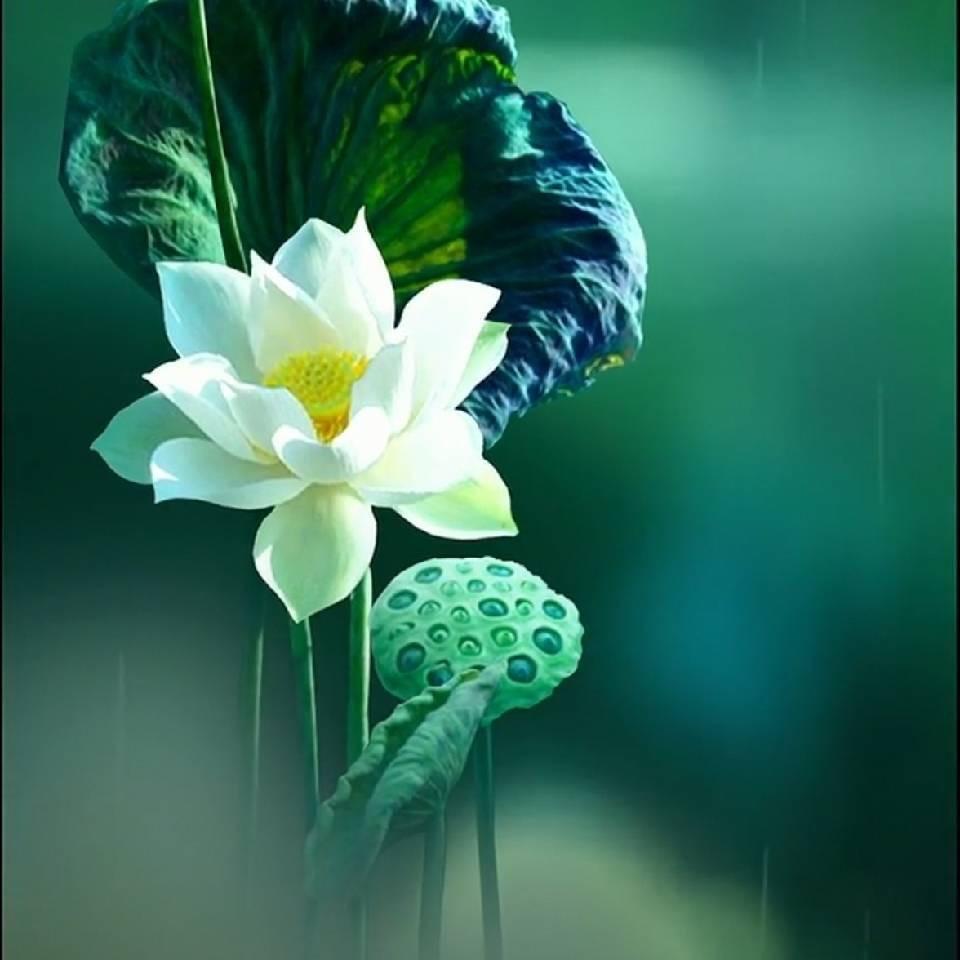 一搏