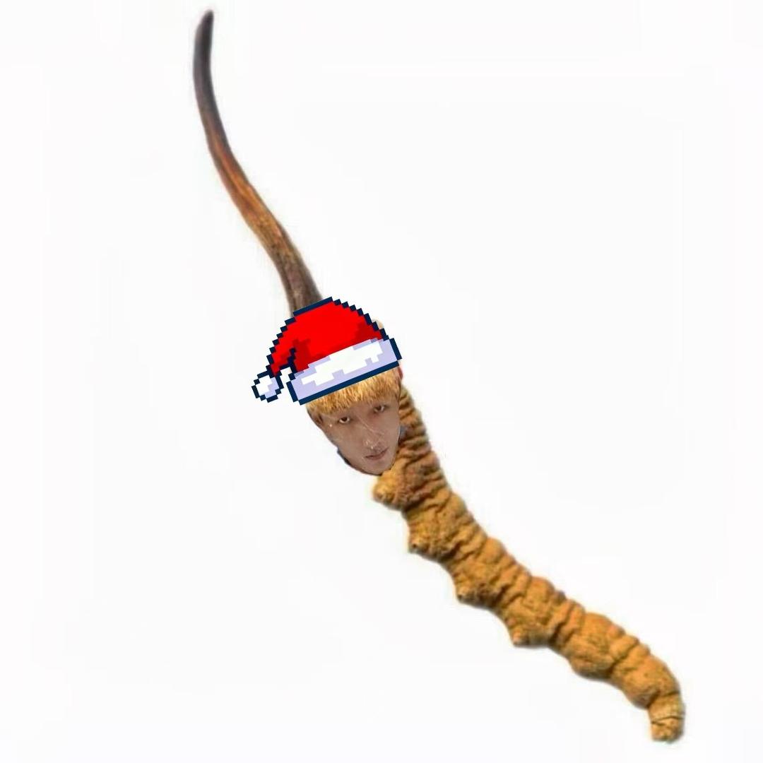 W. 𝓭
