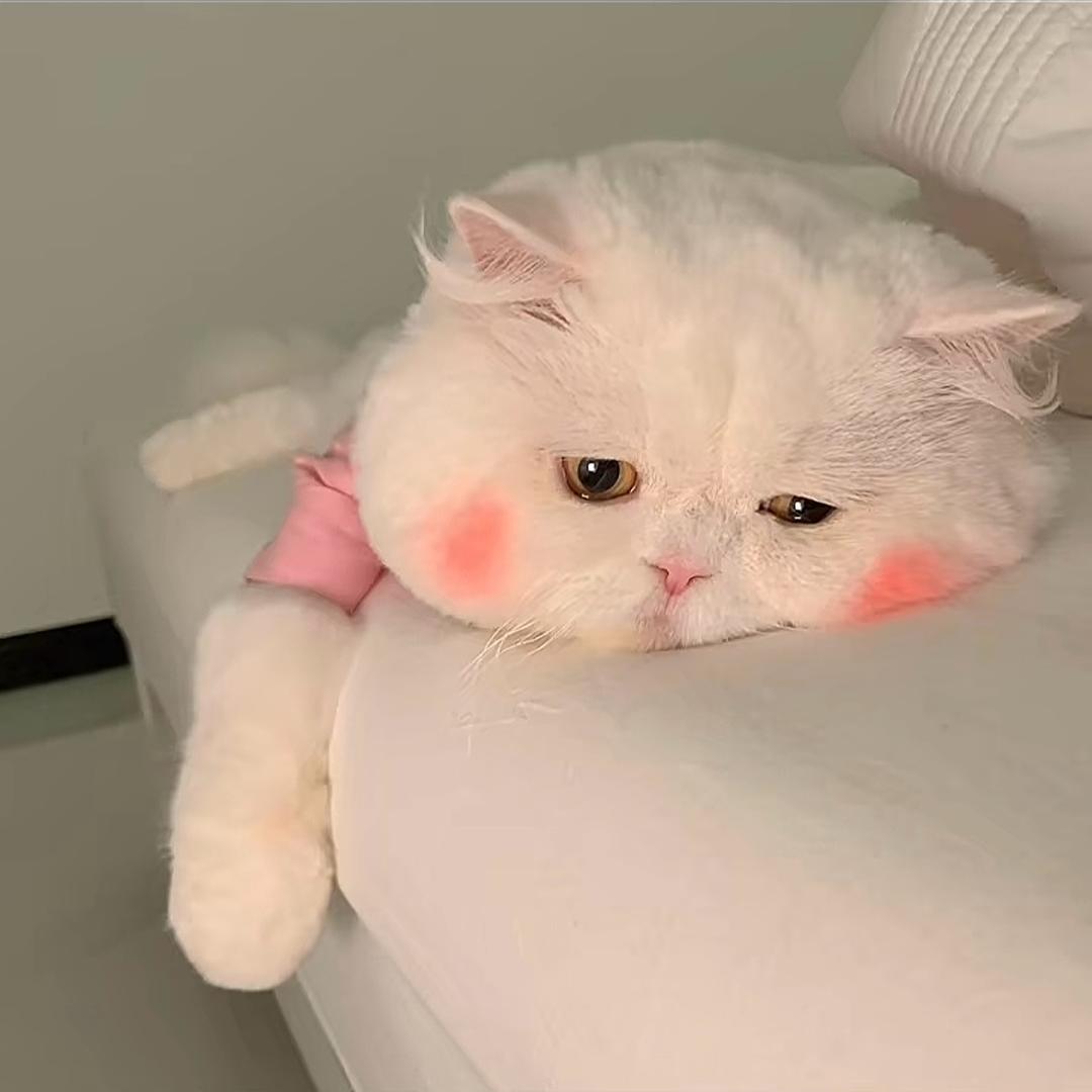 哑巴头像