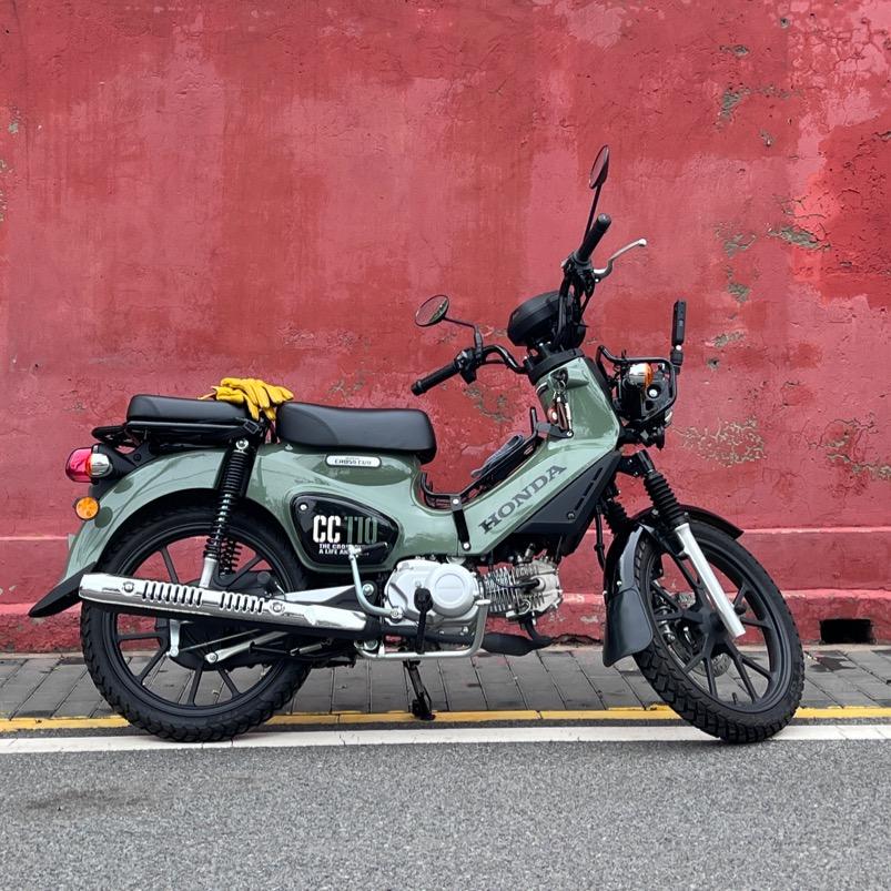 一只马赛克