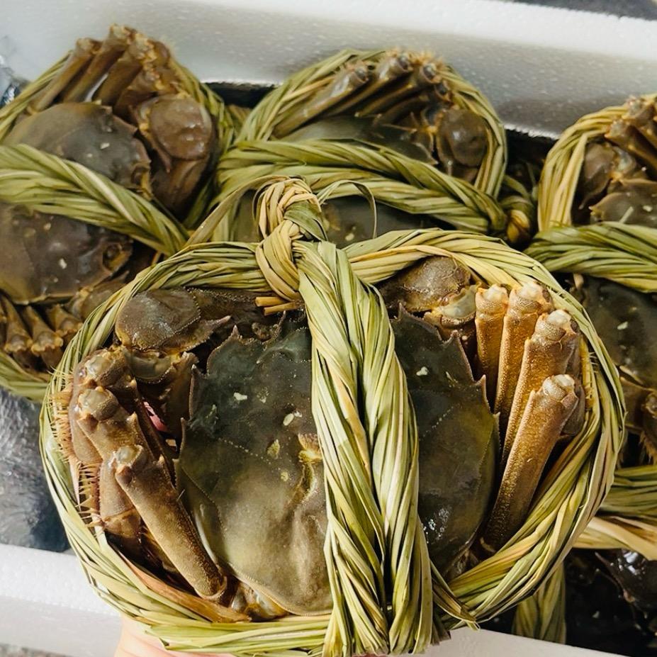 蛋黄🦀朲
