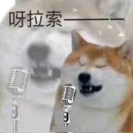 神秘水域的潜行大师