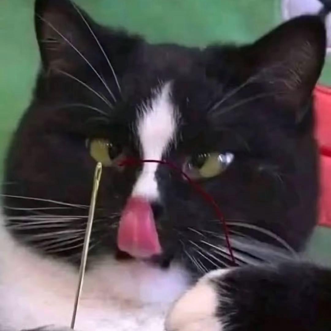 小小漾