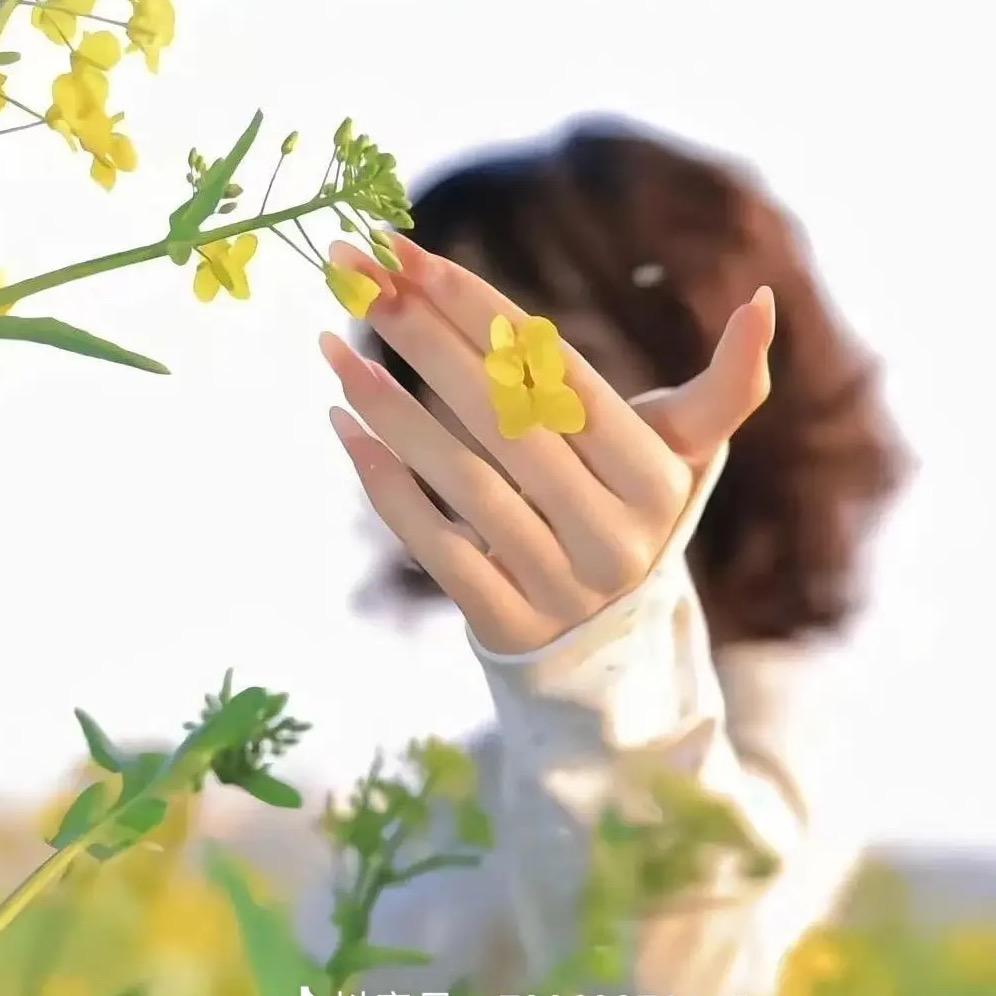 千百度Jier
