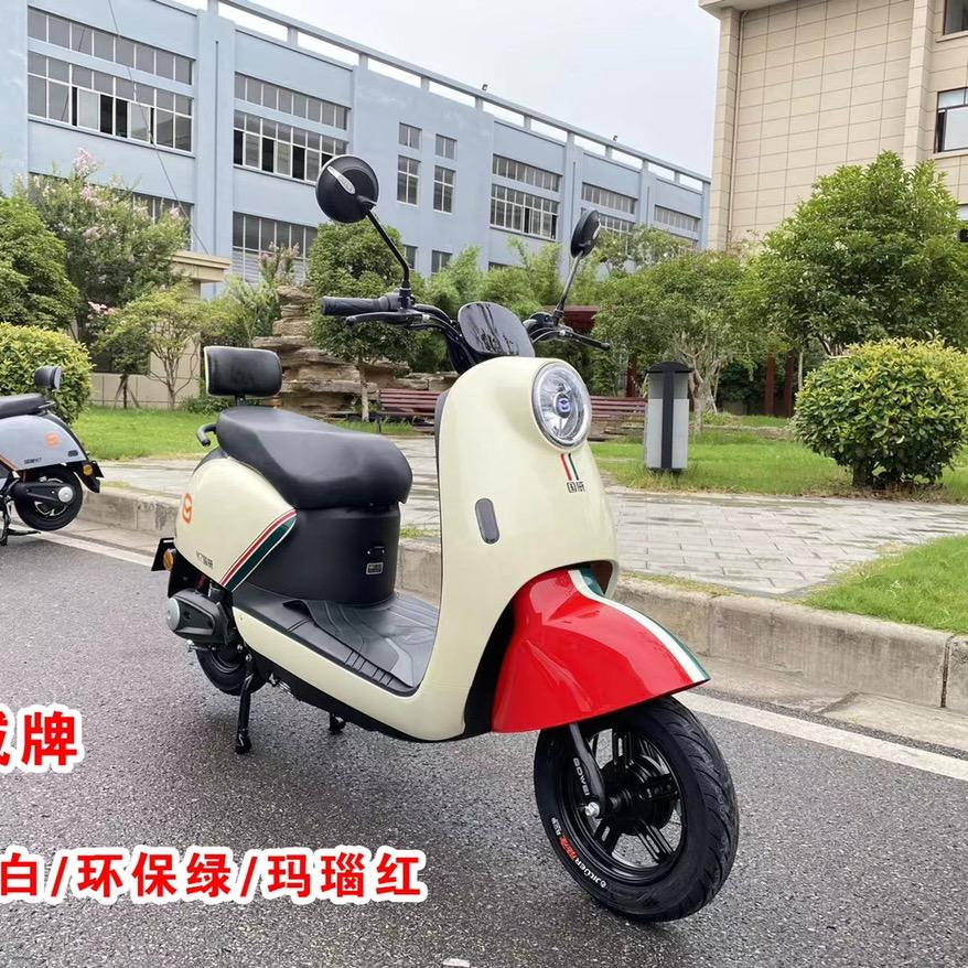 鲁山县万众电动车店