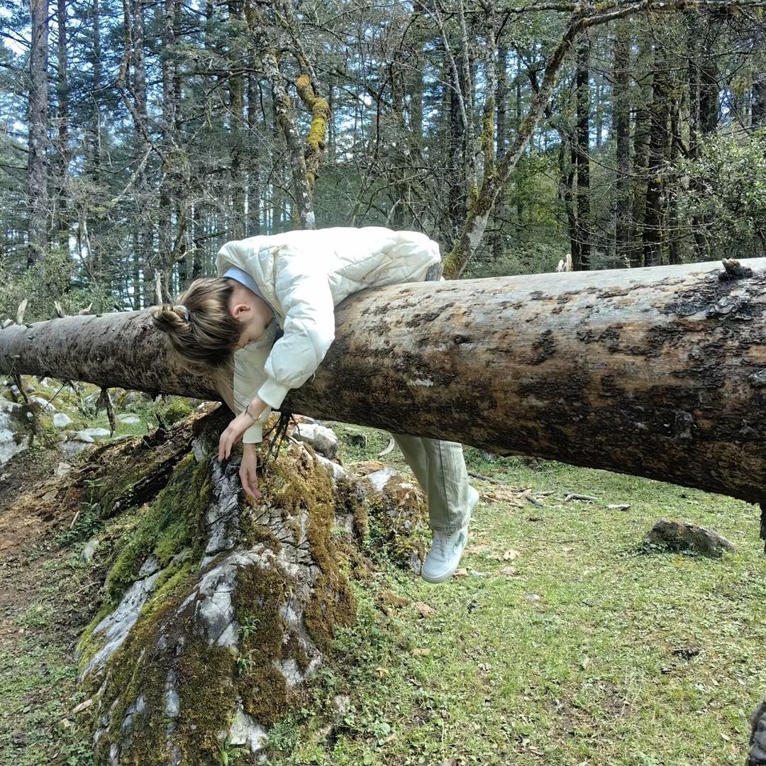 小陈不想上班🫠