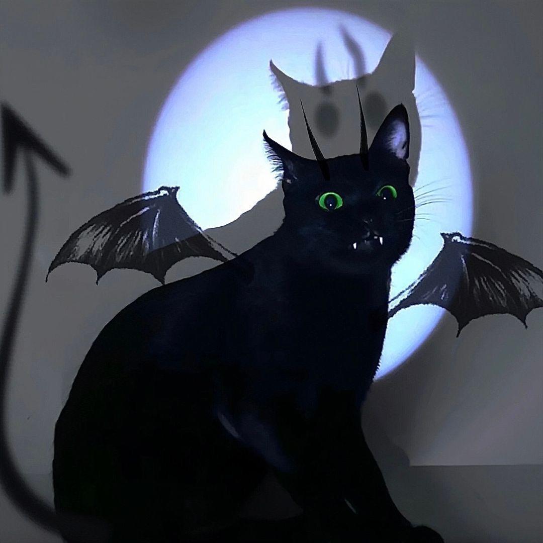 天津职称评审new老师