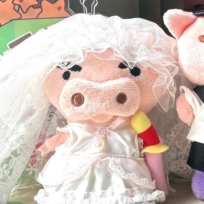 左卫门🐽