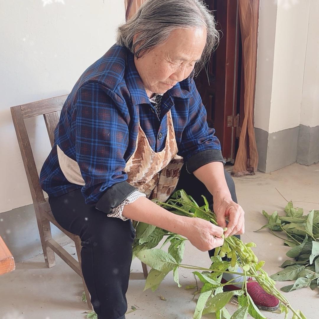 潘奶奶和孙子