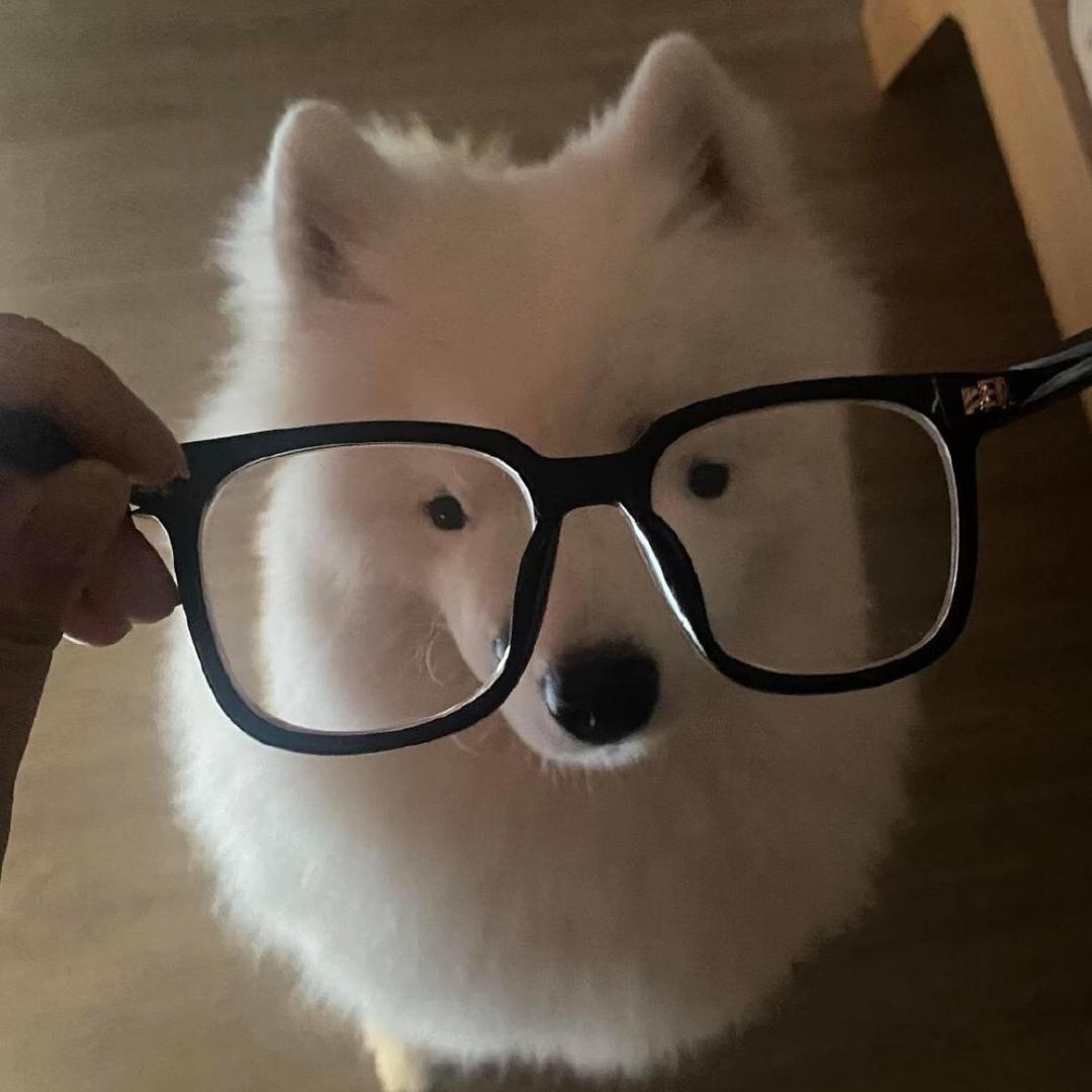 ㅤㅤㅤㅤㅤㅤ