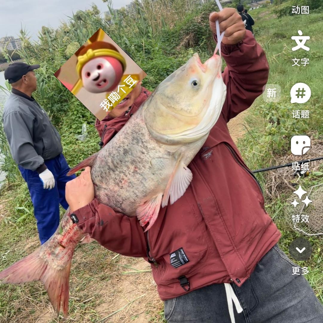 小刘爱钓鱼