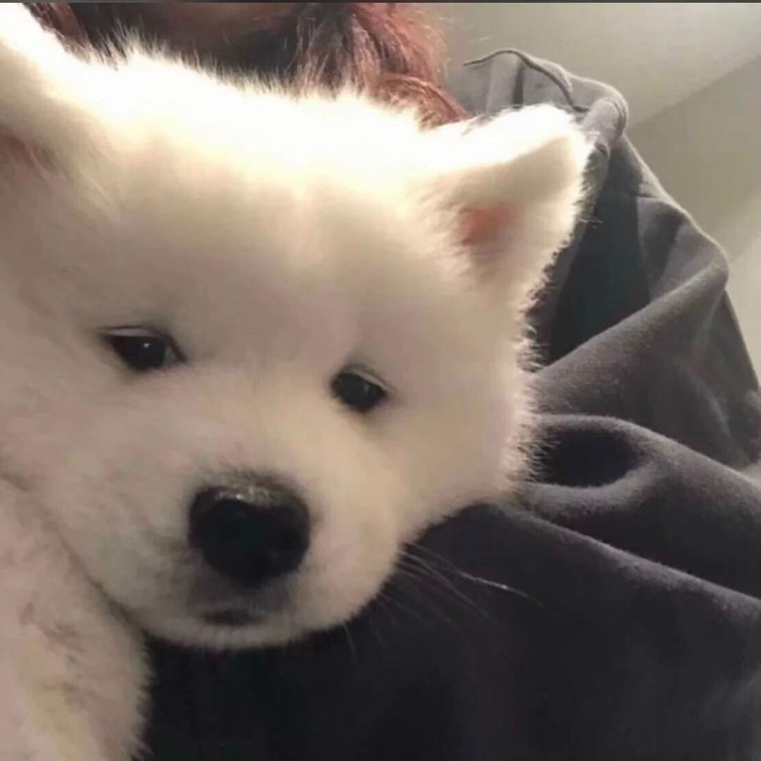 DuoDuo-（麻辣烫女王）