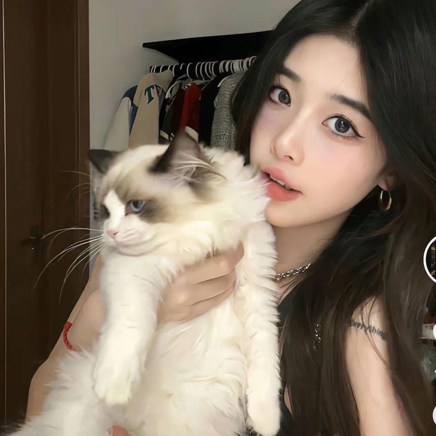 小趴菜