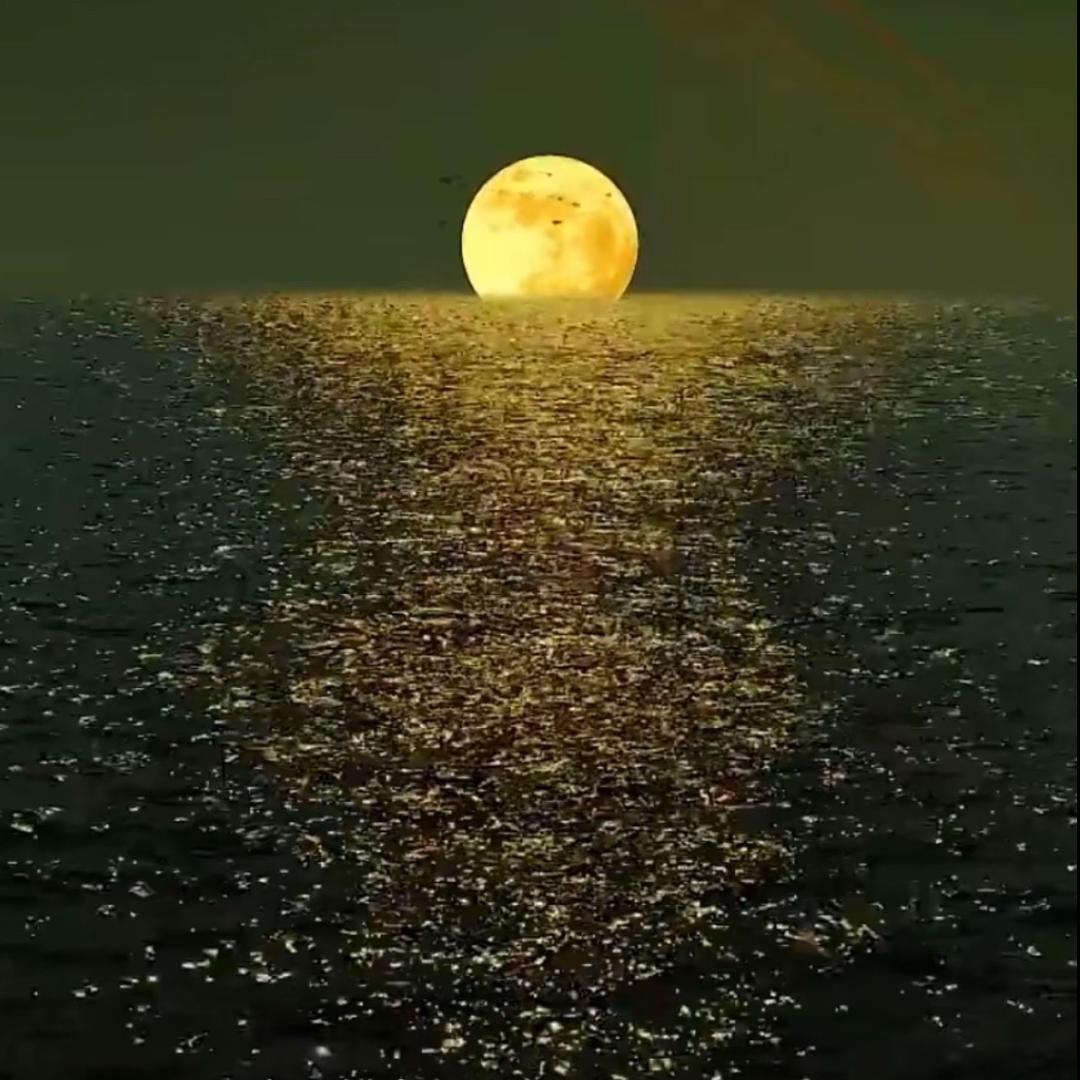 子气东来