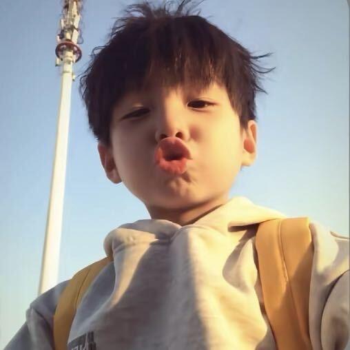 小鲨鱼