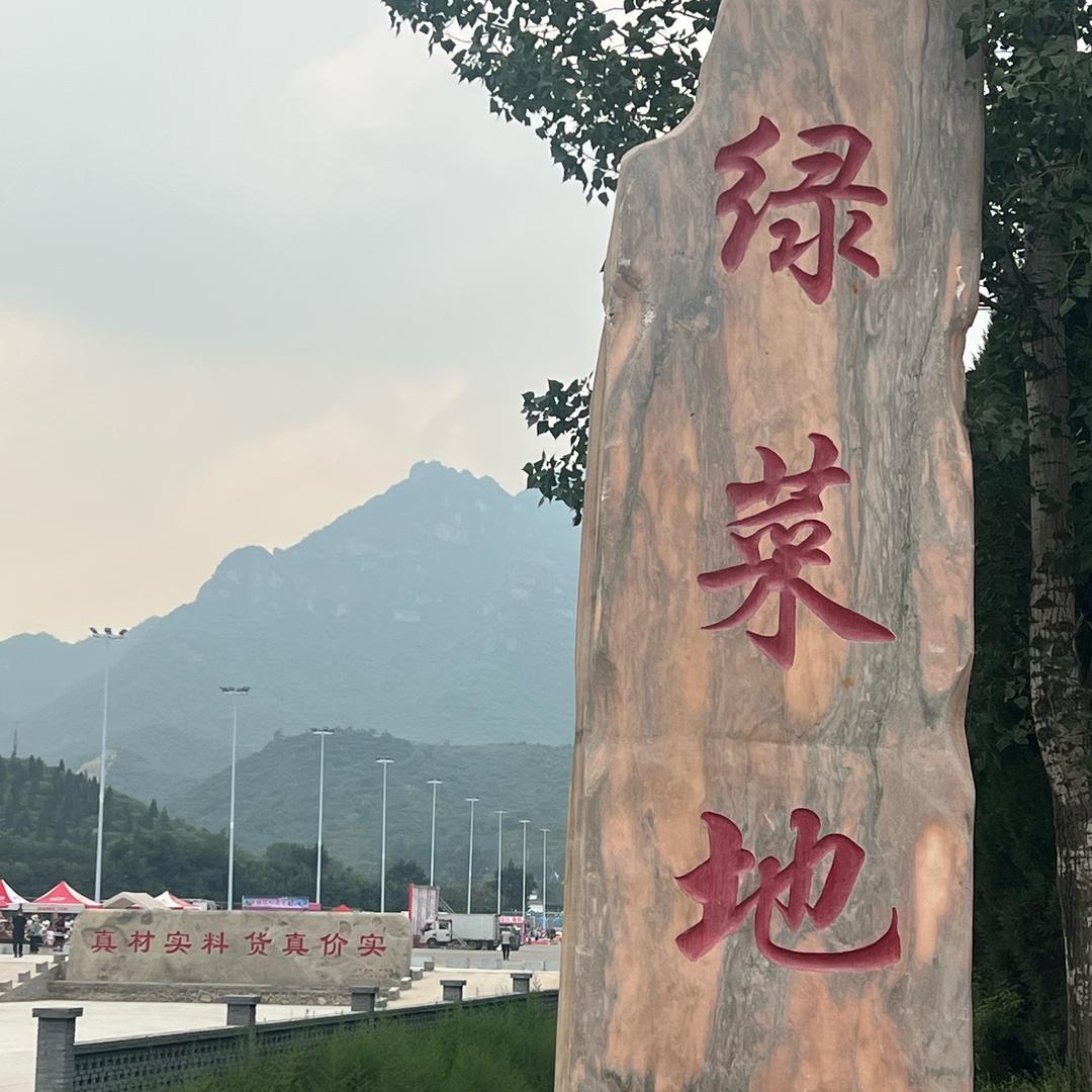 绿菜地