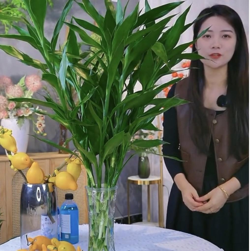 富贵竹花农