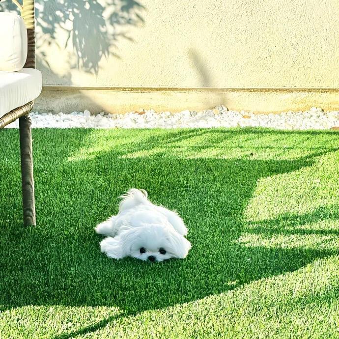 虾仁不加盐･ᴗ･꧞