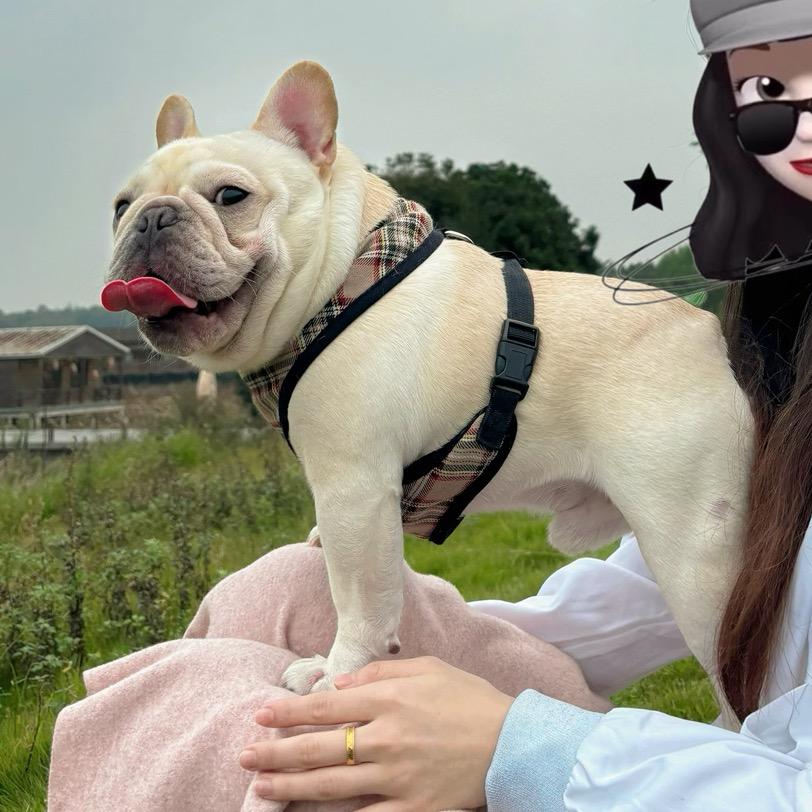 仔仔蜜可摇尾巴~