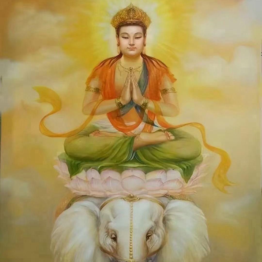慧光阁🙏（小号）