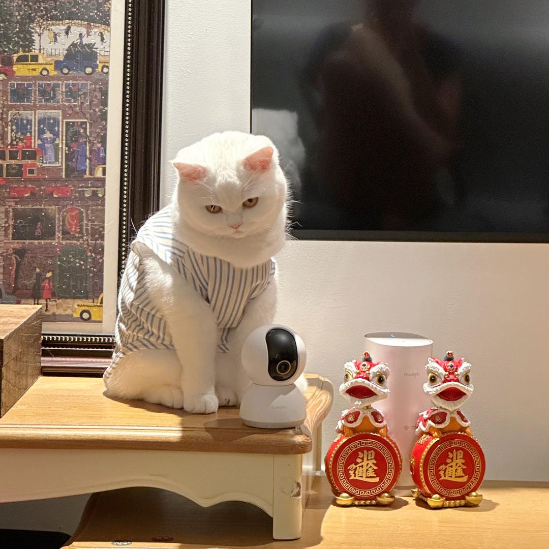 六六和蛋蛋🥚