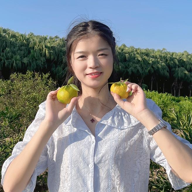 新会陈皮岁月柑香真真