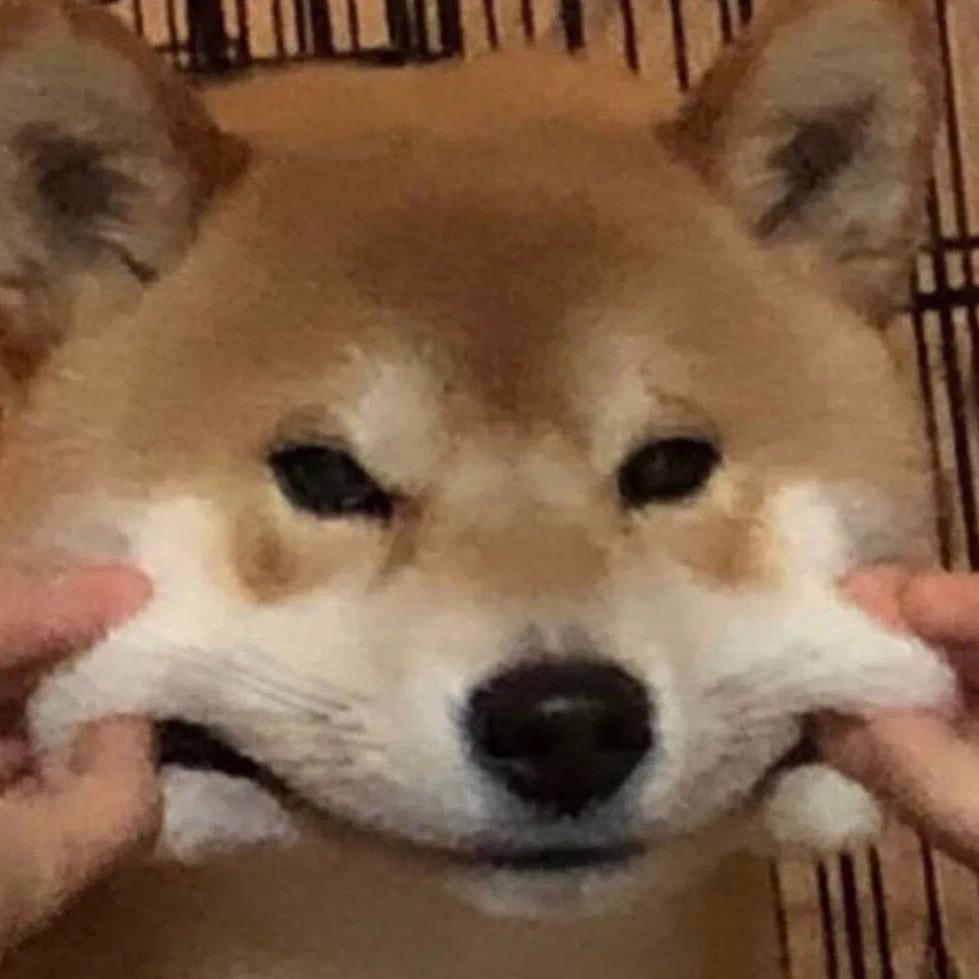 阿肉君