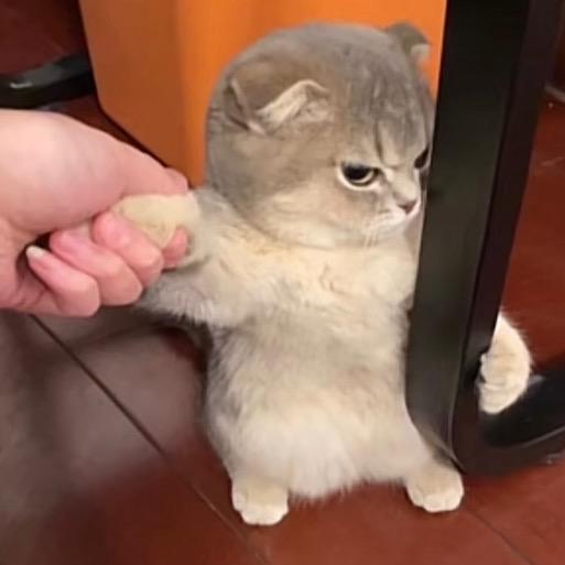 娜扎永远得不到的男人