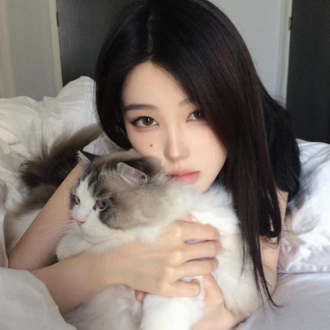 会飞的猫