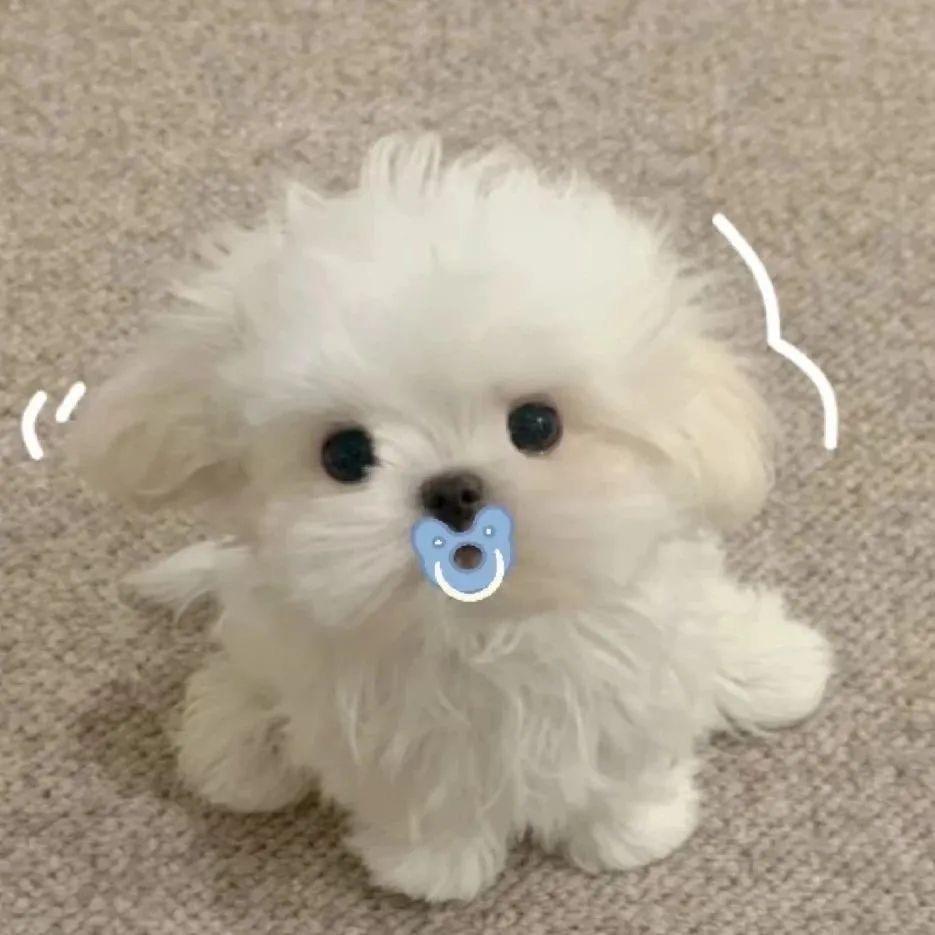 离岛@
