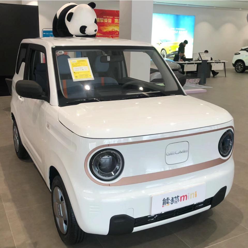 摇摇爱讲吉利熊猫🐼