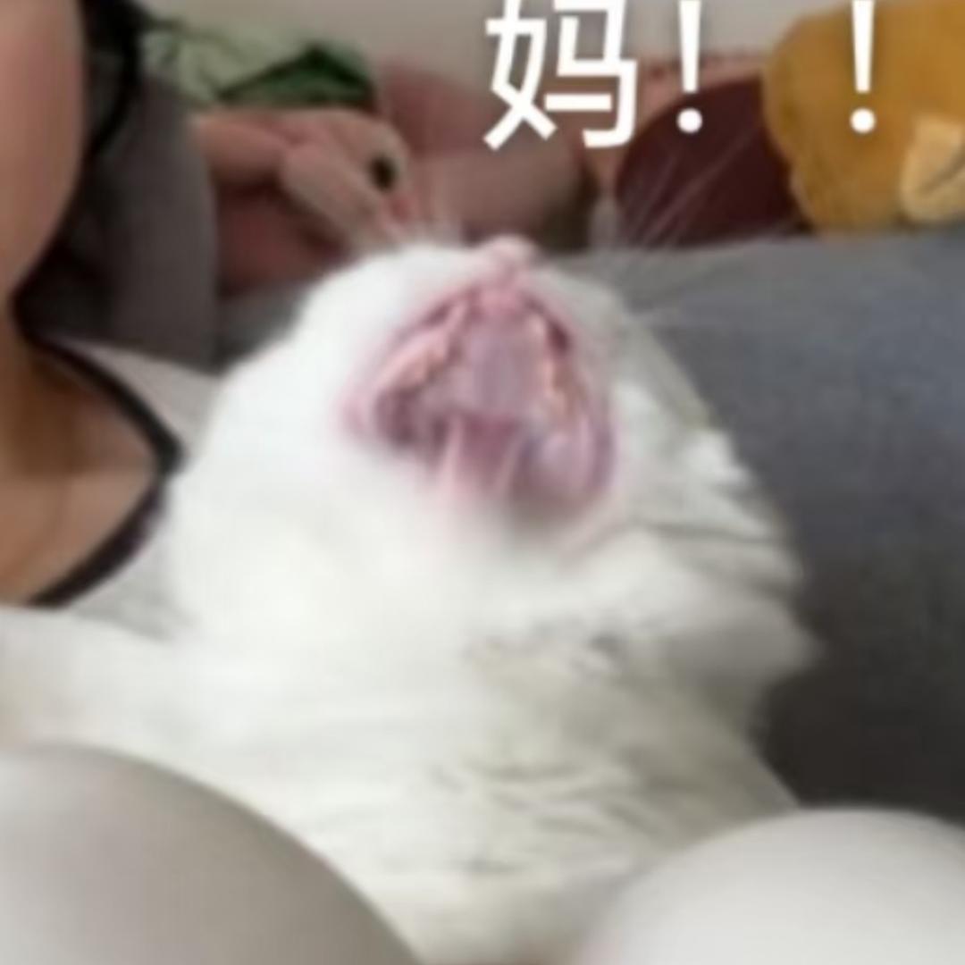 王阿瑶吖