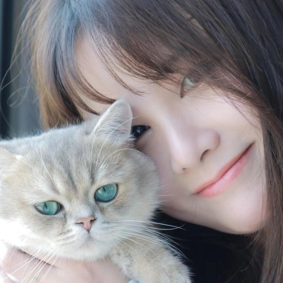 白菜🥬
