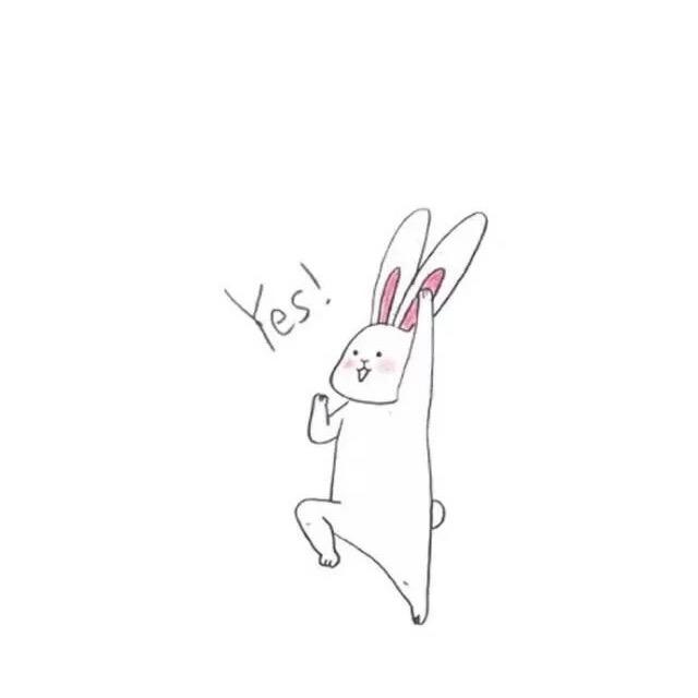 十一❤️