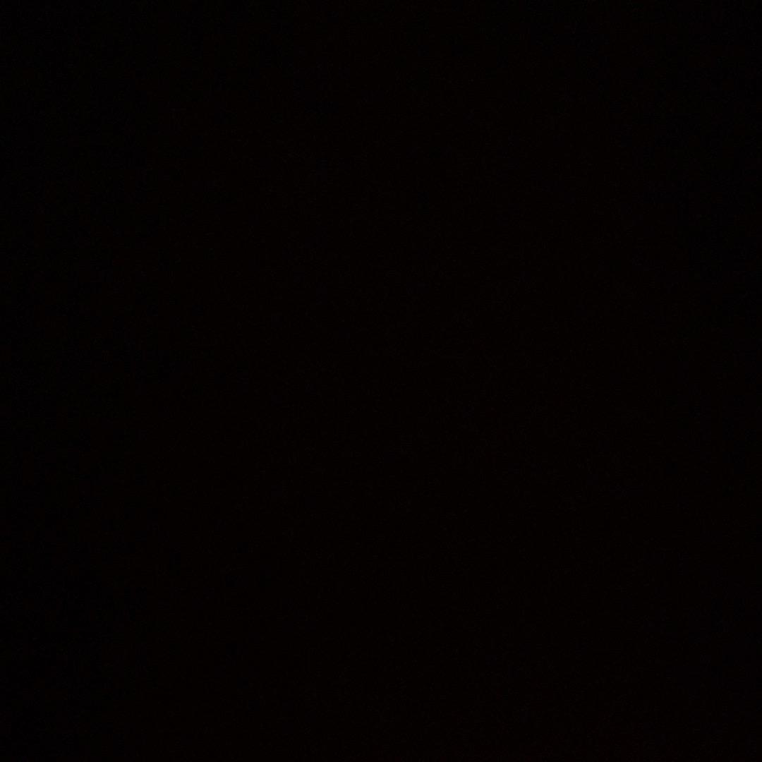 鲷鱼火烧猫猫头