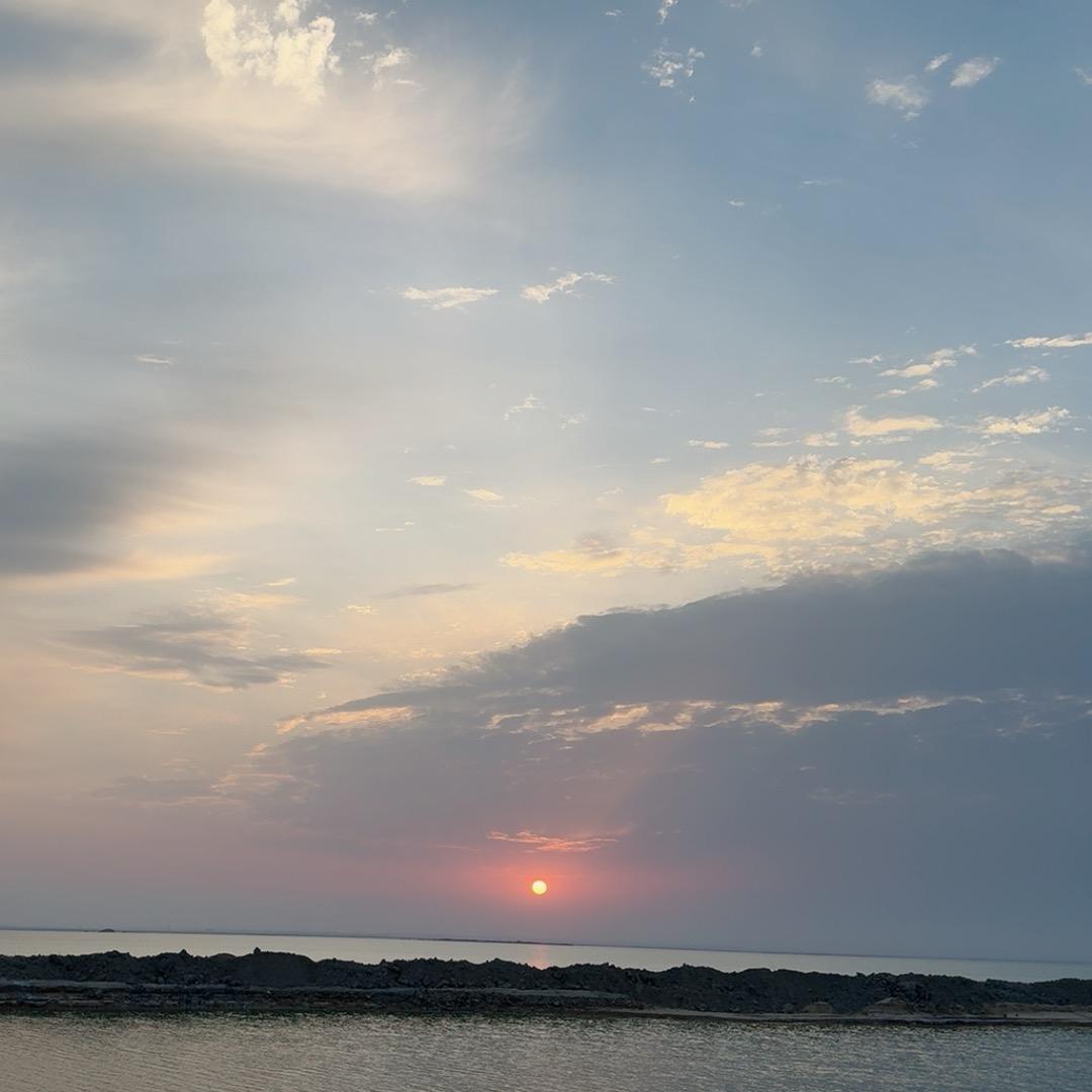 海绵先生RED