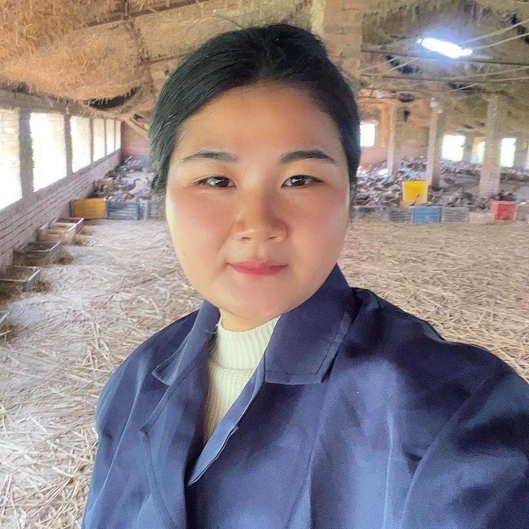 养鸭大管家