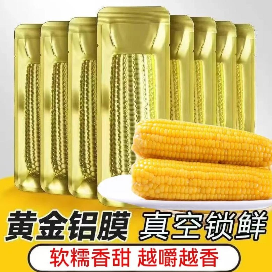 北纬45°黄金糯玉米