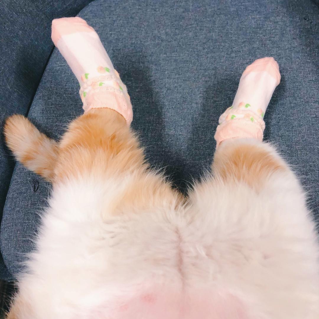 快秃头的小H人儿😃