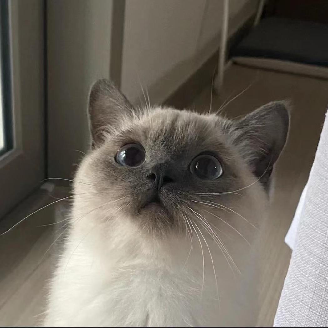 第七只熊猫战士.