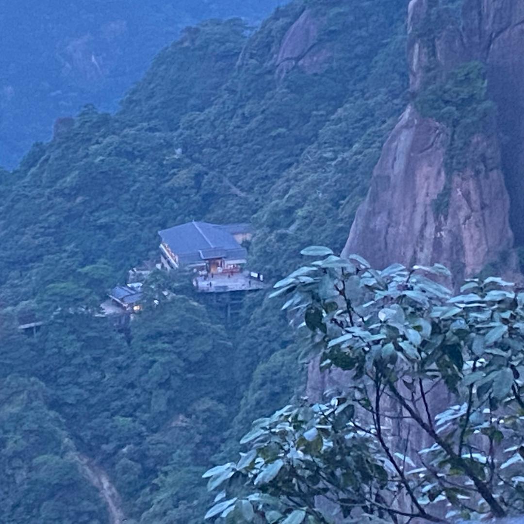 🌾心向⚡️阳光☀️