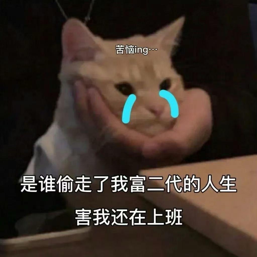 鼠鼠