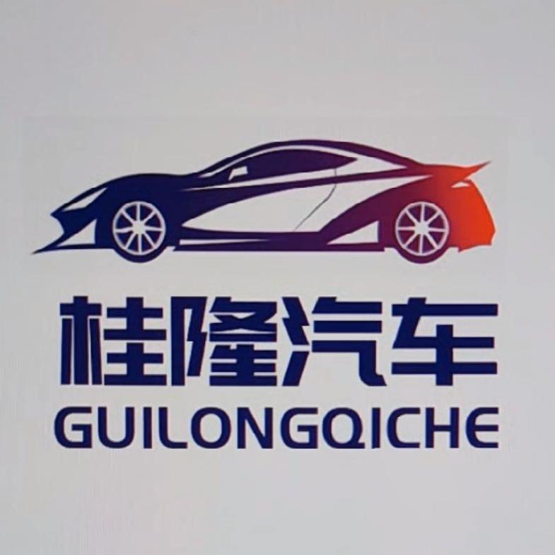 龚城汽车～阿松