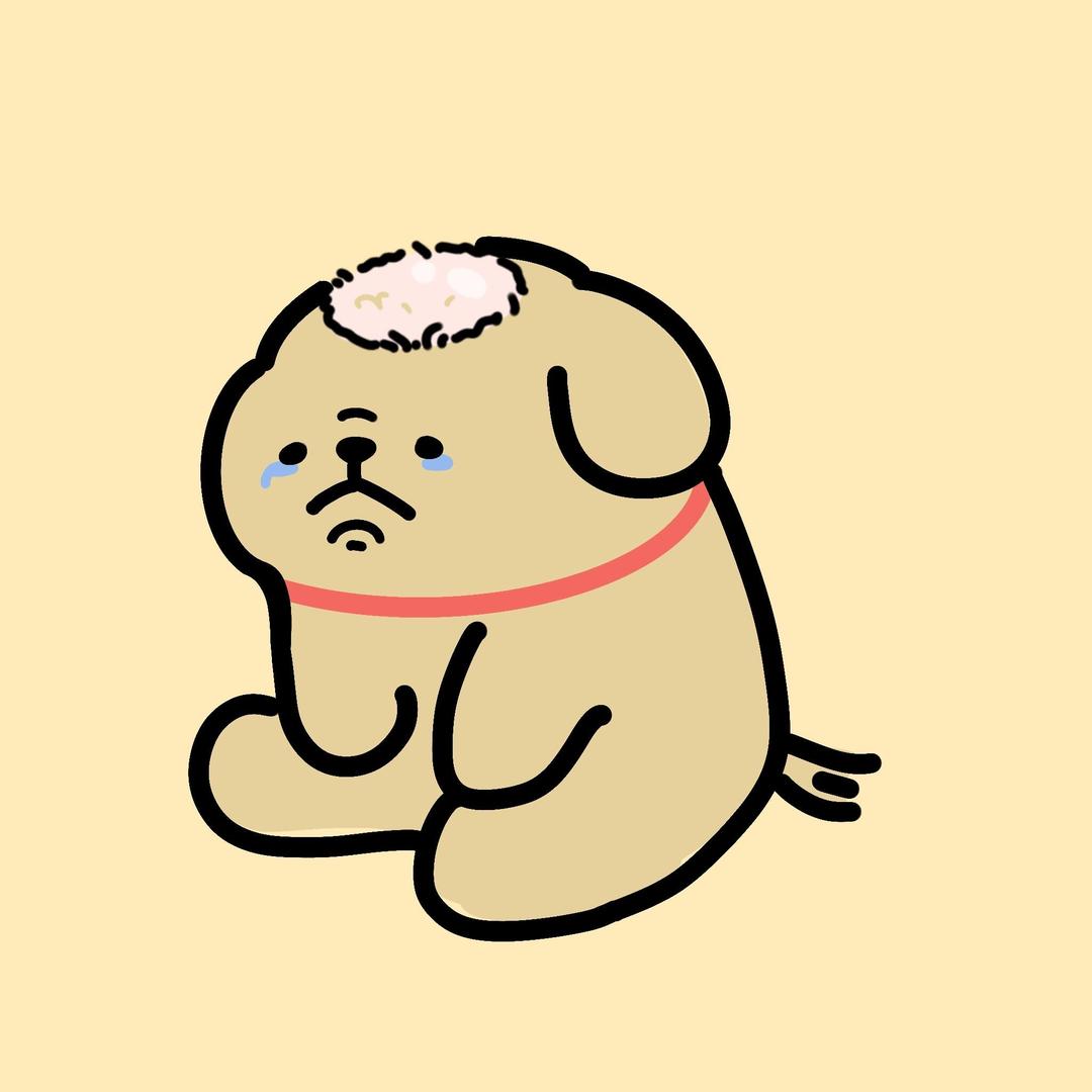 小熊