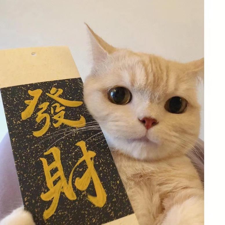 辰辰玩具