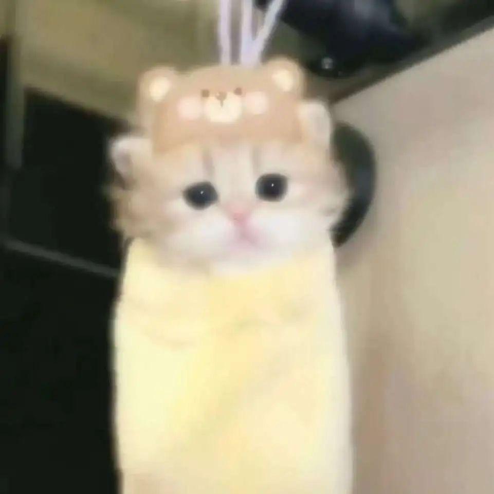 小美