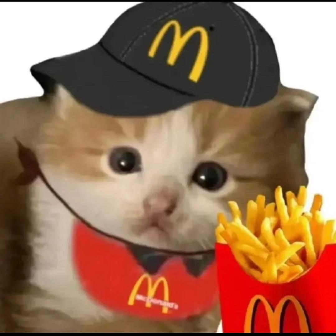 爱吃薯条🍟